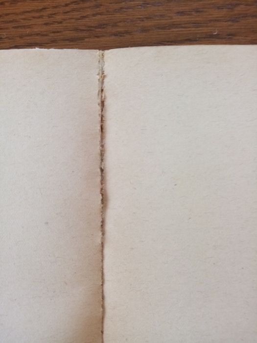 Książka "Faraon" Bolesław Prus