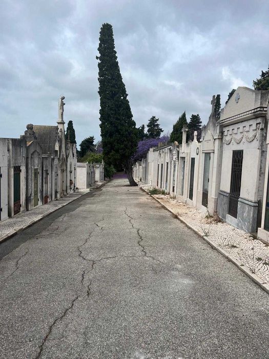 Jazigo Particular–8 lugares–Cemitério dos Prazeres, Lisboa-Novo Preço