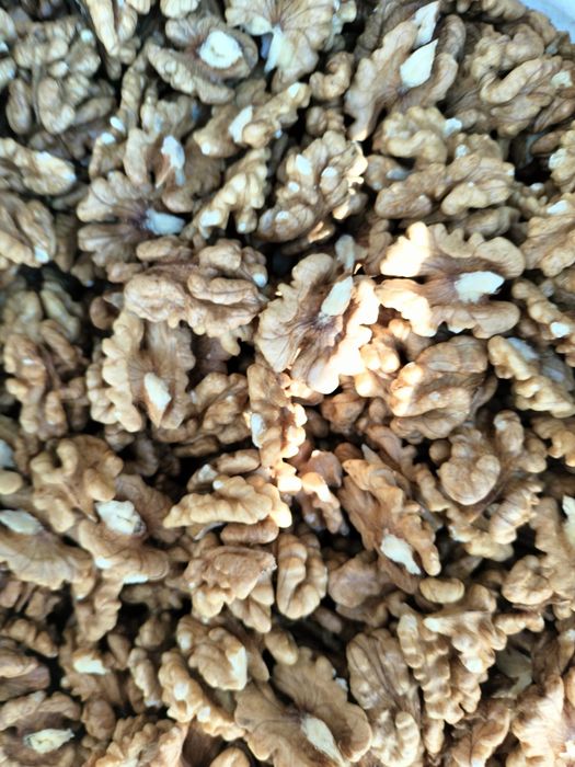 Волоські (грецькі) горіхи