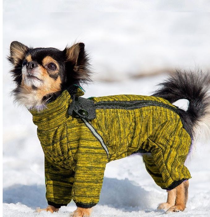 Комбінезон для пса