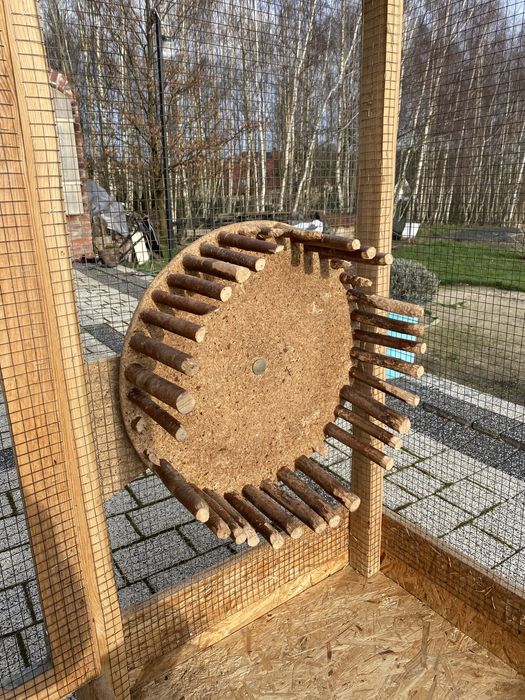 Klatka z kołowrotkiem woliera