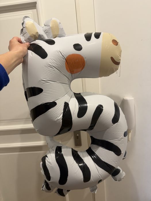 Balon 5 urorsiny zebra oddam
