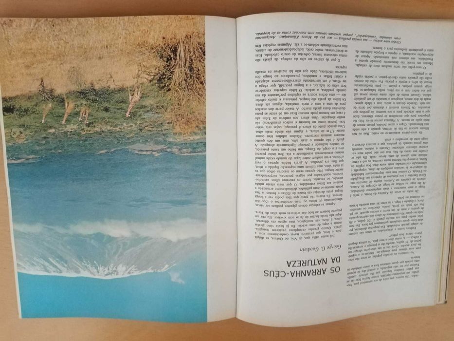 Maravlihas e Mistérios do Mundo Animal