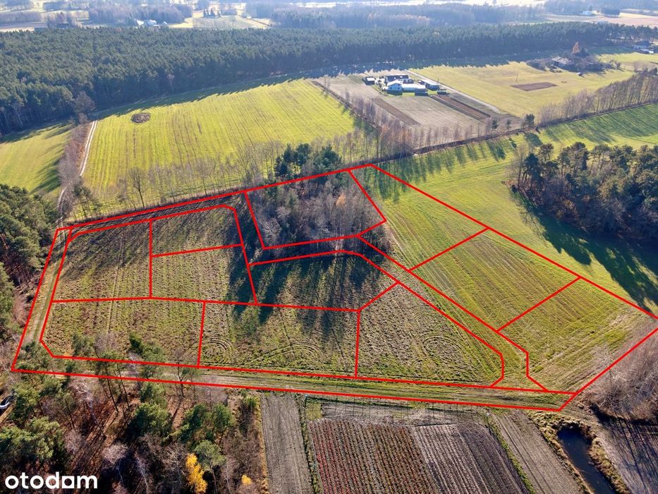 Działki budowlane Nowa Plewnia, gm. Ceków-Kolonia