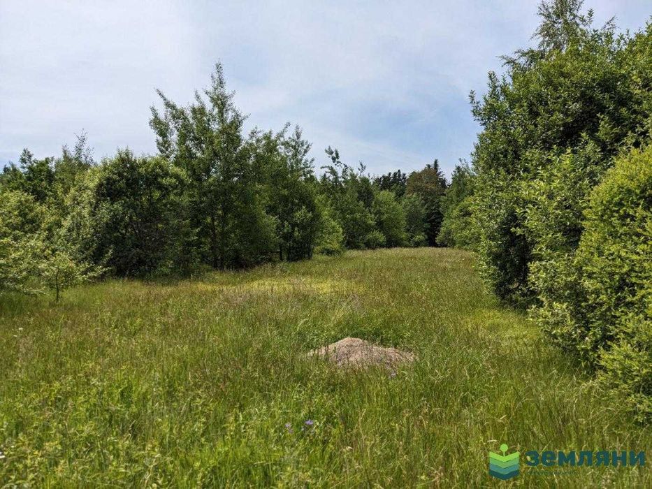 Продаж ділянки з виходом у ліс в с. Нова Гута (8)