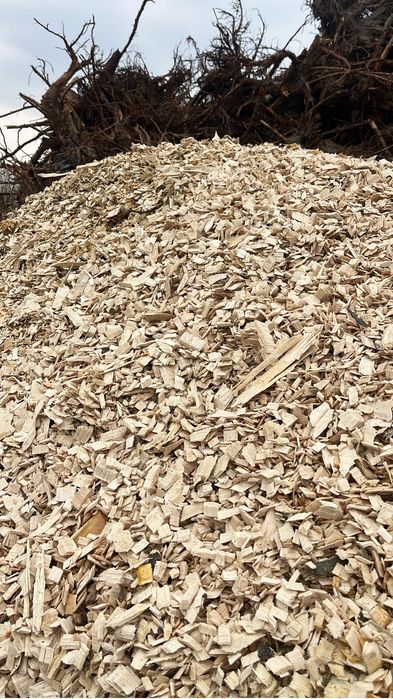 Zrębka kora sosnowa