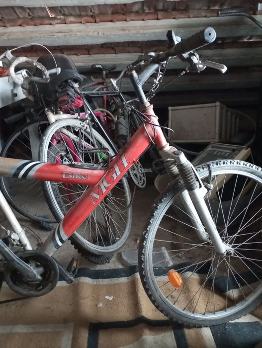 Bicicleta- Bike Zoom