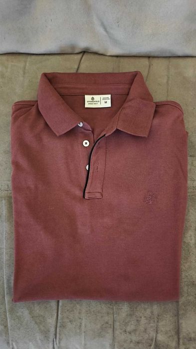 Polo Springfield