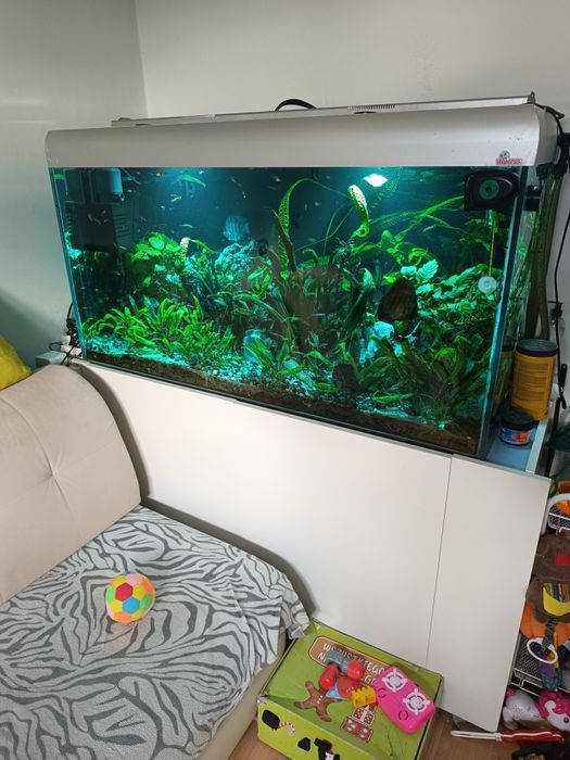 Sprzedam akwarium 500 l