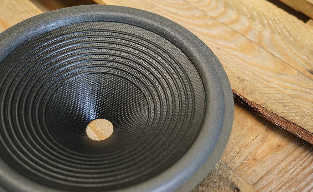 Membrana 25cm / 10" papierowa lakierowana z piankowym zawieszeniem.