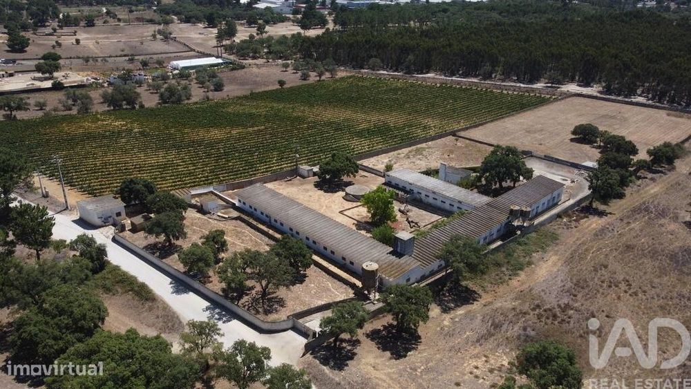 Terreno em Quinta do Anjo