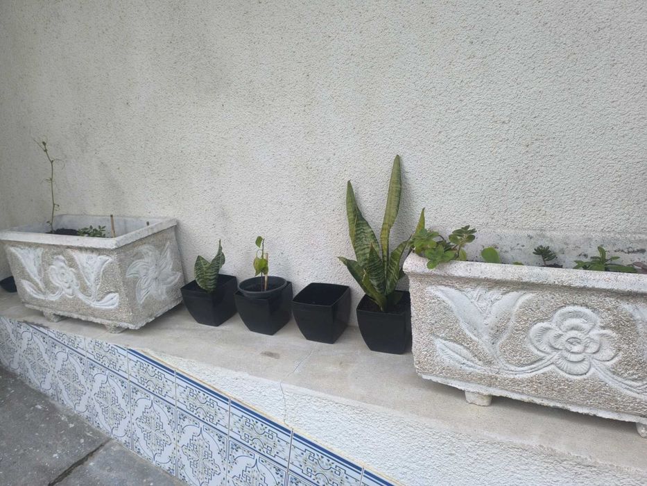 Canteiro para flores