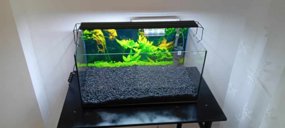 Akwarium  cały zestaw gotowe