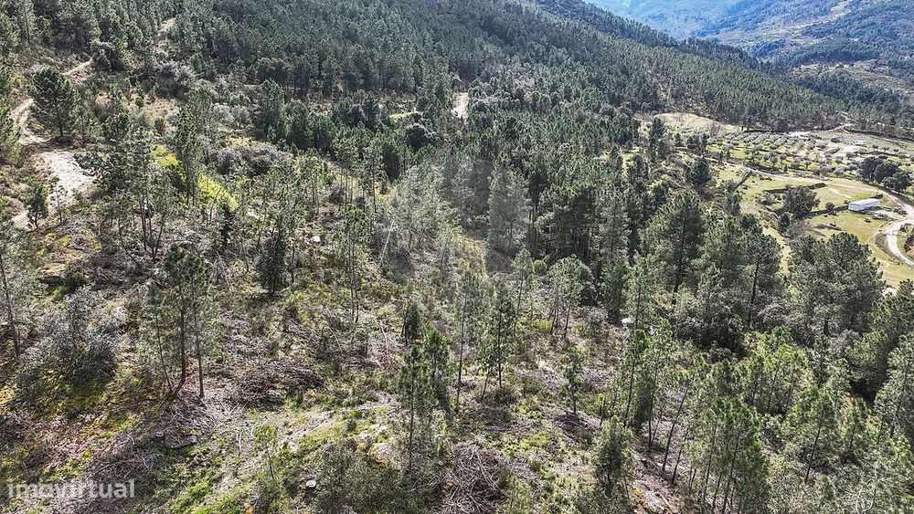 Terreno  para venda