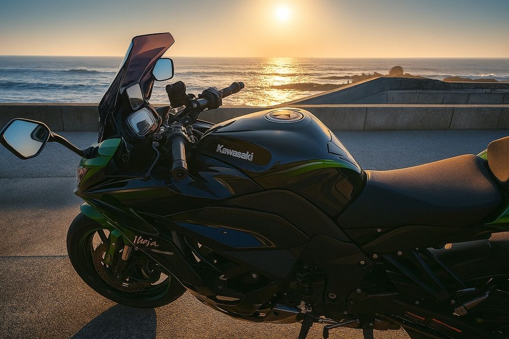 Kawasaki Ninja 1000sx