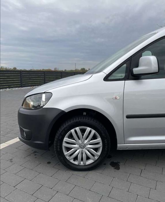 Каддік 2015 максі база