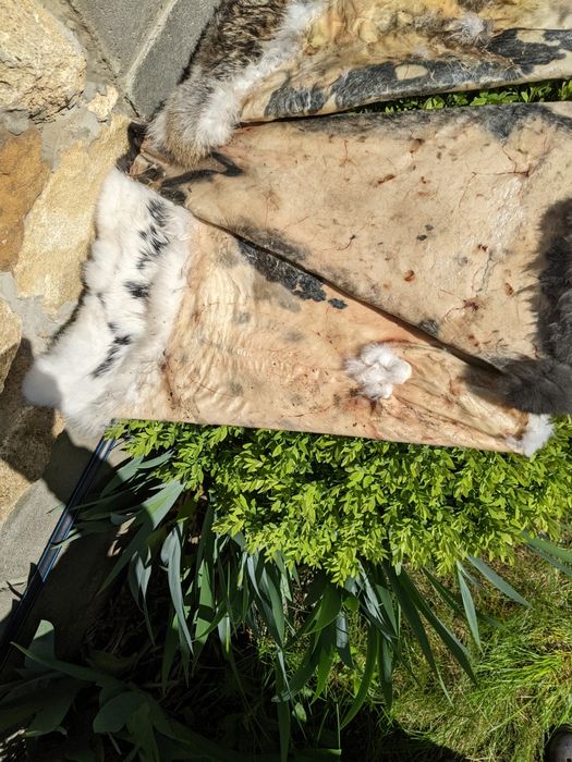 Хутро, шкіра кролика