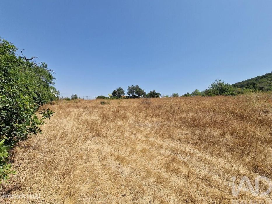 Terreno Agrícola em Santa Bárbara de Nexe