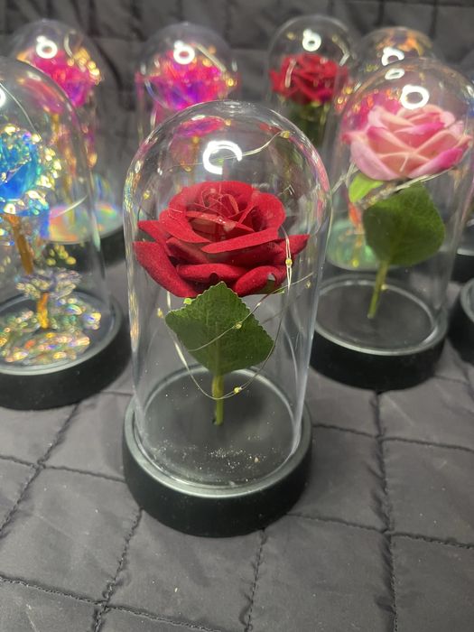 Розы в колбе. Вечная роза! Подарок. Роза