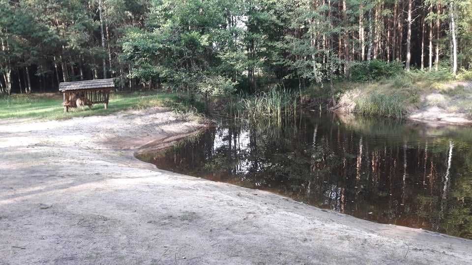 ZACISZE LEŚNE Domek do Wynajęcia