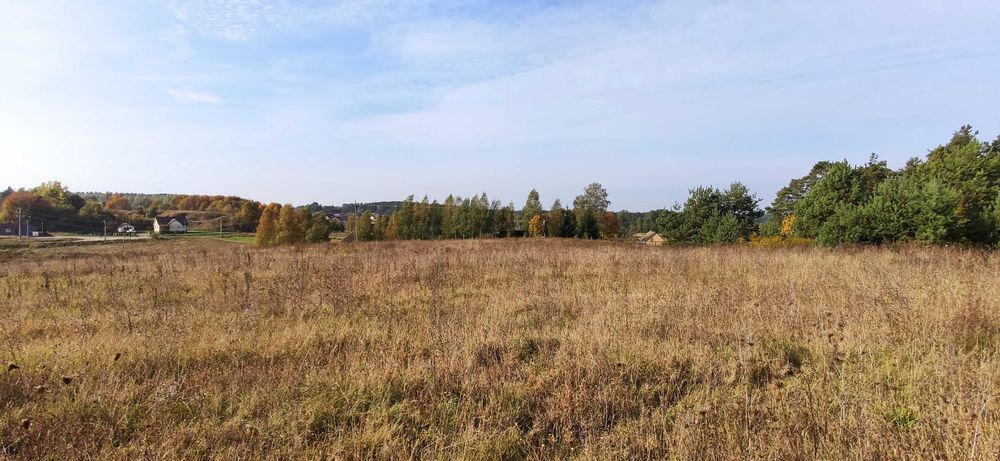 Działka Chraboły, gmina Dobrzyniewo Duże