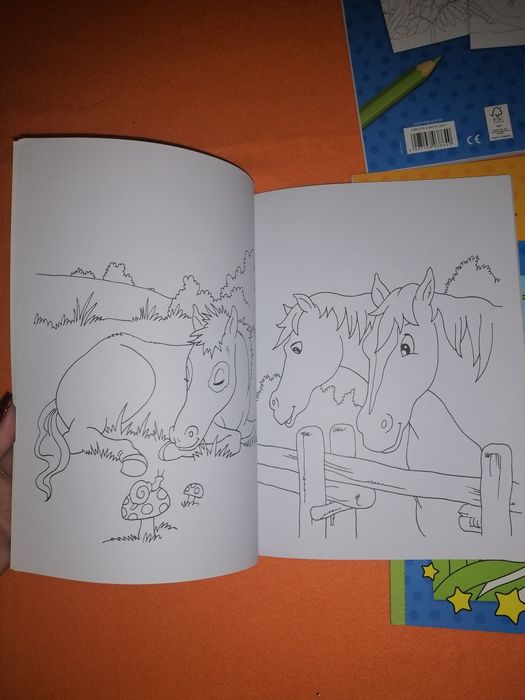 Раскраска Лошади. Раскраска в зоопарке. Розмальовки для дітей.