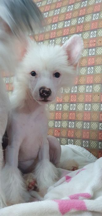 Чудовий голий хлопець чекає свою родину. Народився 26.10.2025