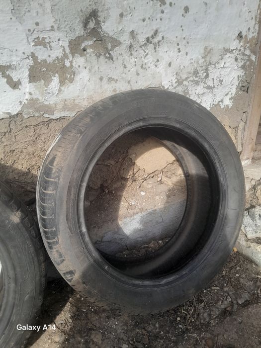 Продам резіну на шкоду