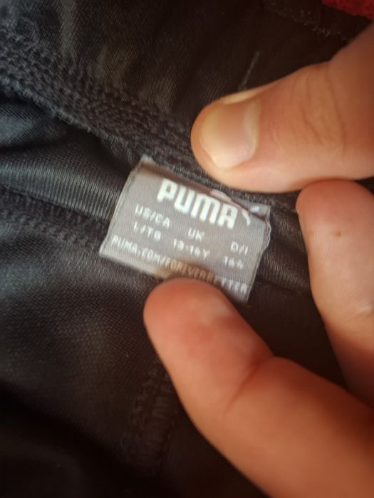 Spodnie dresowe puma męskie