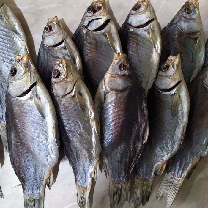 Сушена риба густера, тарань, карась, судак, лящ, щука