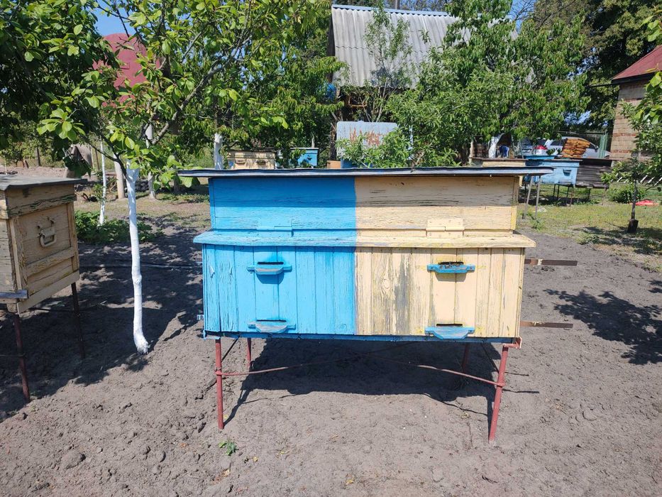 Вулики з бджолосім"ями