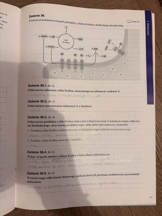 Zestaw kart pracy Biologia rozszerzona Nowa Era liceum
