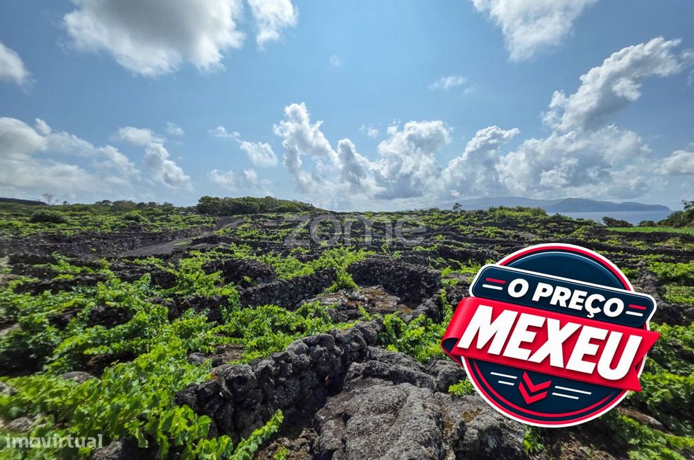 Rustic Plot with Vineyard in Madalena, on Pico Island