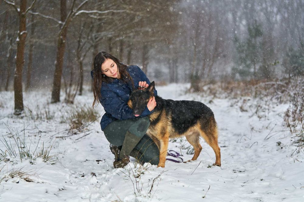 Smamotny Niuton traci nadzieję