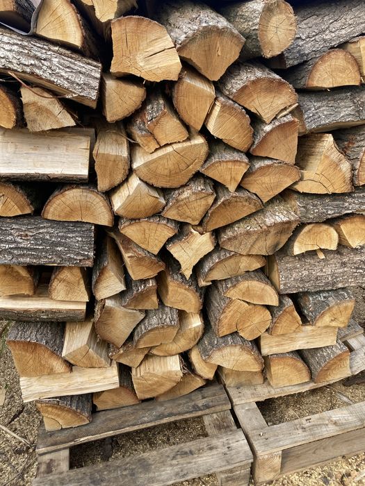 Drewno kominkowe Transport! Dąb