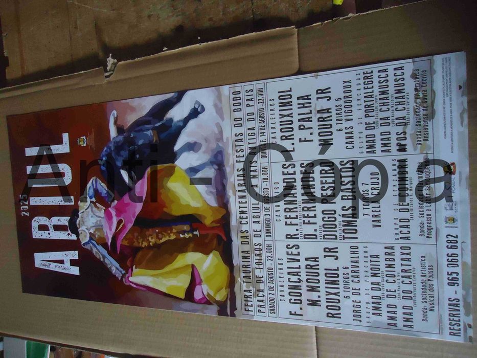 Toiros - Cartazes de Montra 1