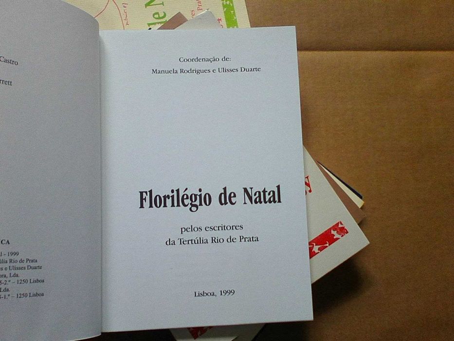 Florilégio de Natal - Conjunto