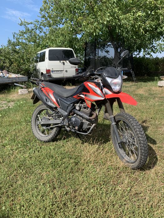 лонсін прус 200