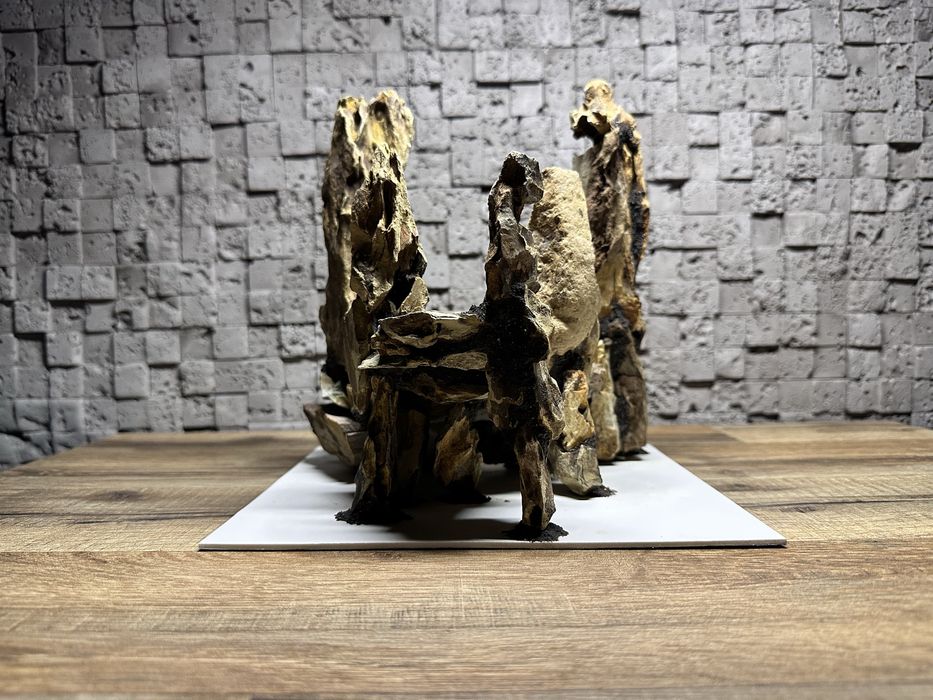 Готова композиція для акваріума/тераріума