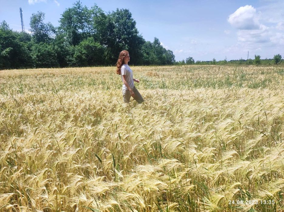 Репетитор алгебра, геометрія, програмування: ДПА, НМТ.