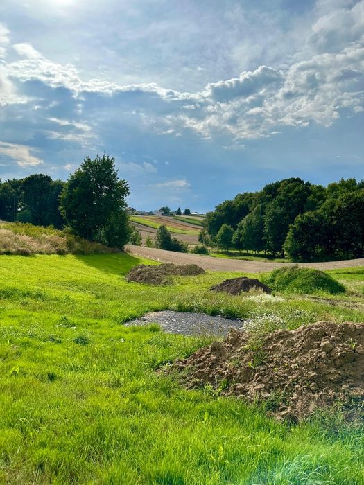 Sprzedam urokliwą działkę budowlaną z projektem lub bez - Widok 5