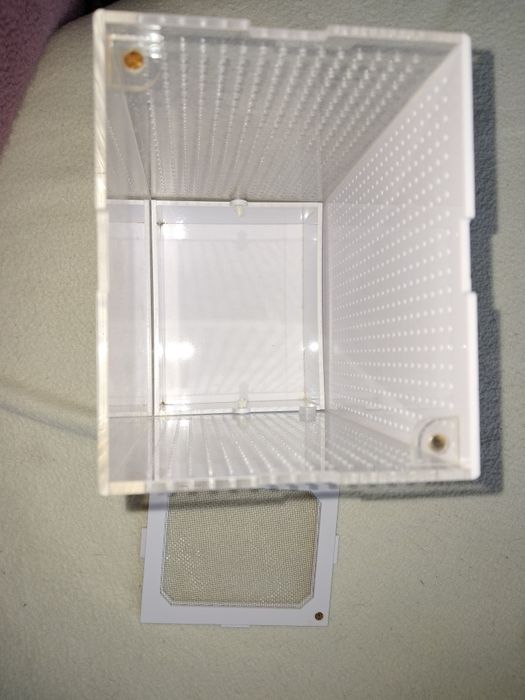 Terrarium małe na owady