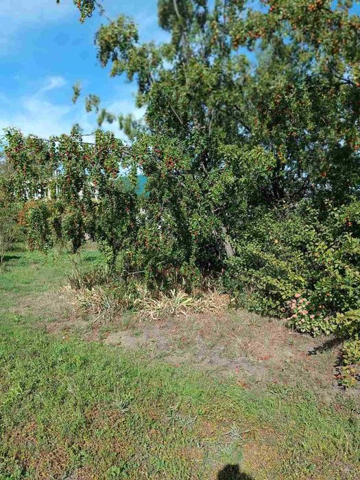 House by the address (area 298 m²) - Atlanta.ua - photo 14