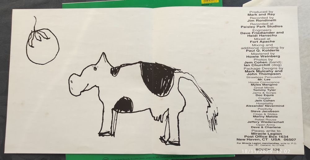 Miracle Legion - Me And Mr Ray LP