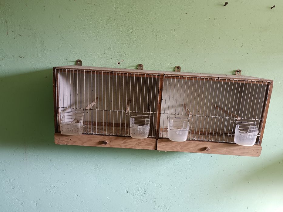 Podwójna klatka dla ptaków