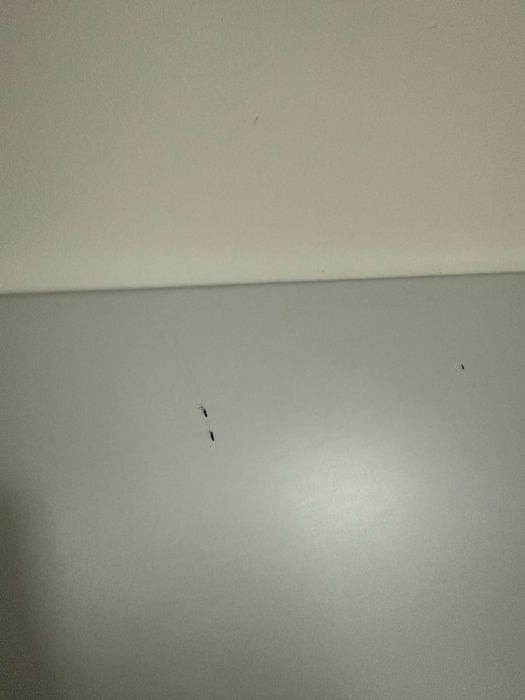 Tablica na magnesy 120 x 44 x 2 cm do zawieszenia - ozdobna blacha