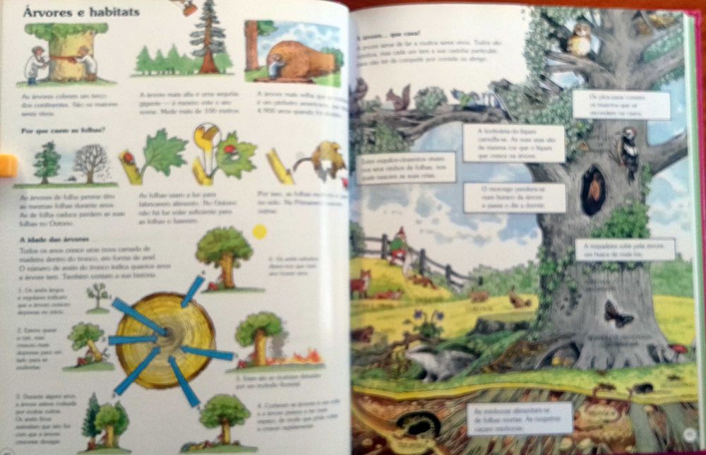 Elliot e King. A Minha Primeira Enciclopedia, Ilustr Inclui porte