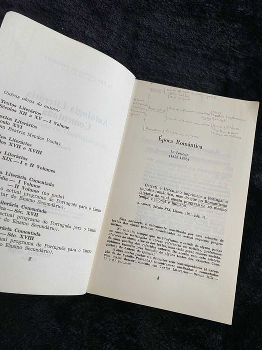 Antologia Literária Comentada – Do Romantismo ao Simbolismo: Poesia – M. Ema Tarracha Ferreira