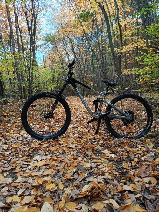 Marin rift zone 3 M 2023