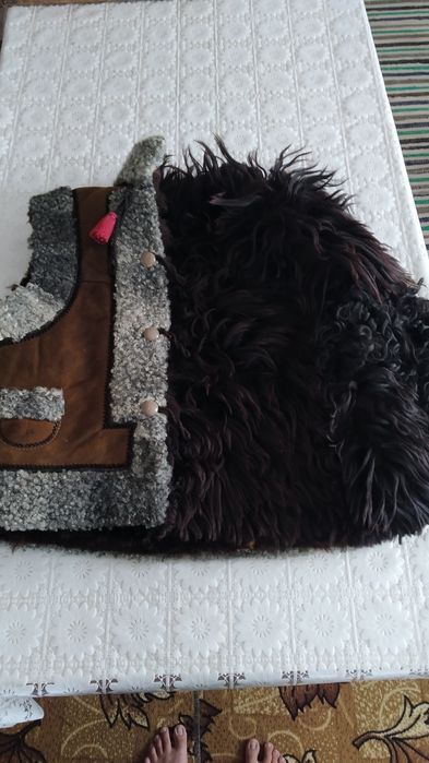 Кіптар гуцульський